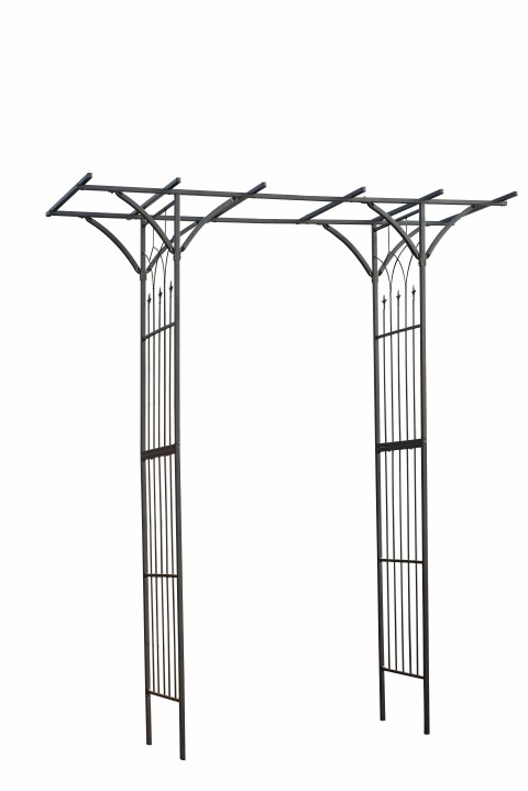 Afbeelding New Dawn rozenboog door Tuinartikeltotaal.nl